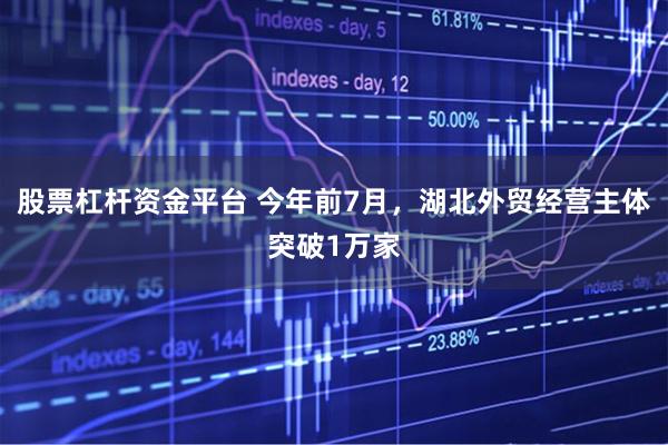 股票杠杆资金平台 今年前7月，湖北外贸经营主体突破1万家