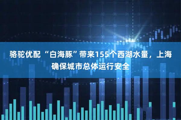 骆驼优配 “白海豚”带来155个西湖水量,上海确保城市总体运行安全