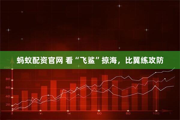 蚂蚁配资官网 看“飞鲨”掠海，比翼练攻防