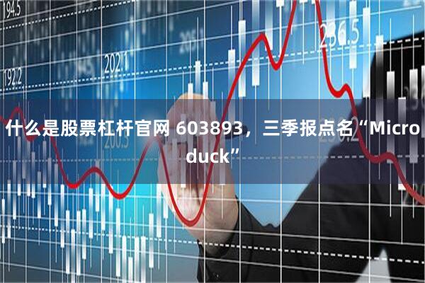 什么是股票杠杆官网 603893，三季报点名“Microduck”